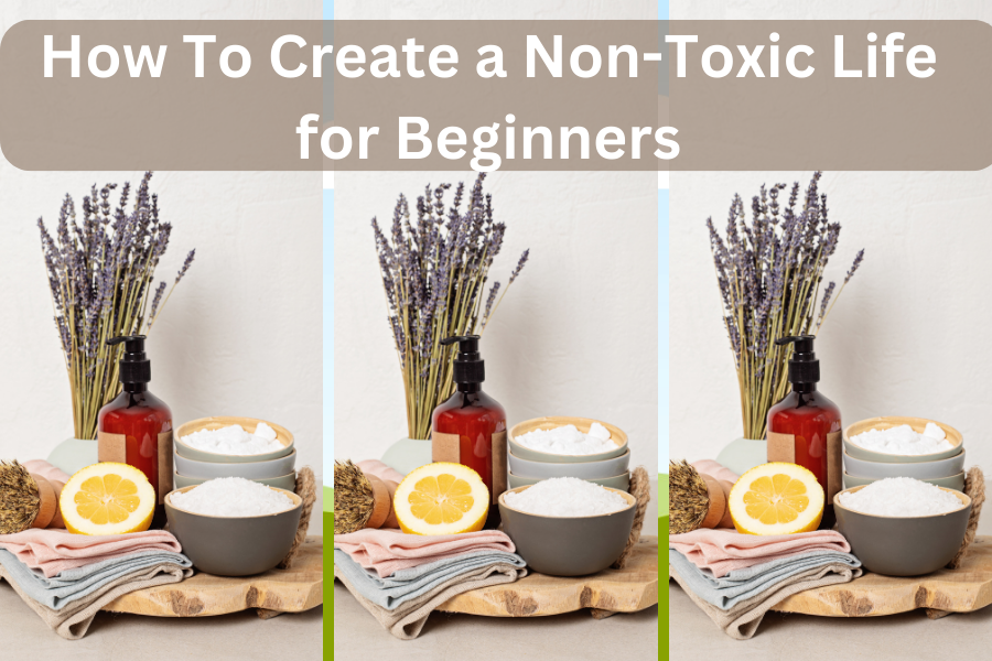 a guideline on How to Create a Non-Toxic Life for Beginners. To help you remove that overwhelming feeling and provide a realistic balance but also increase awareness of the harmful chemicals that are in our homes and in our lives!