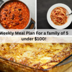 Weekly Meal Plan For a family of 5 under $100!