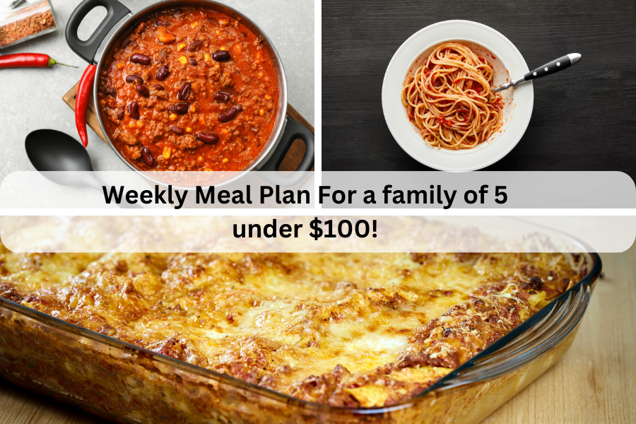Weekly Meal Plan For a family of 5 under $100!
