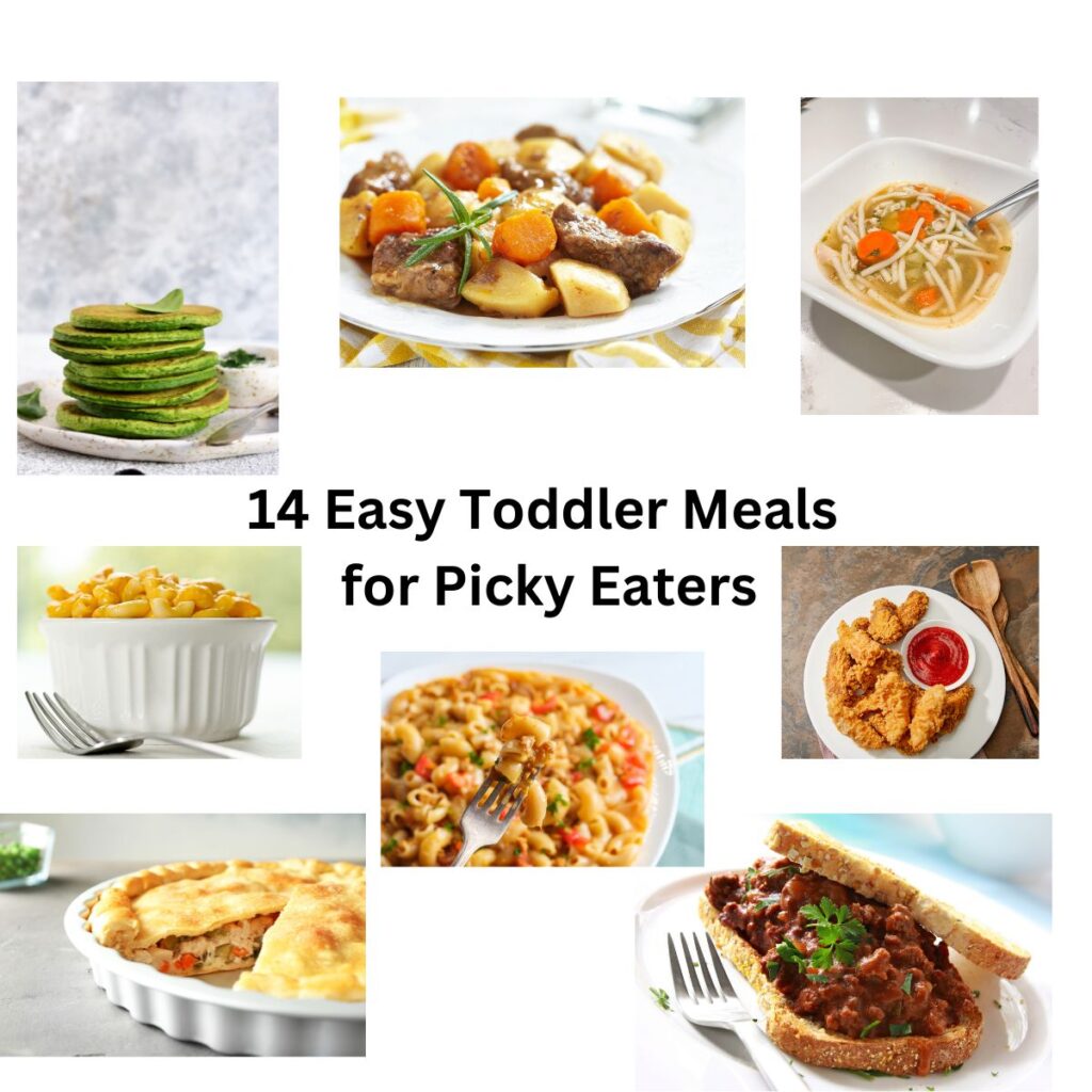 14 Easy Toddler Meals
 for Picky Eaters