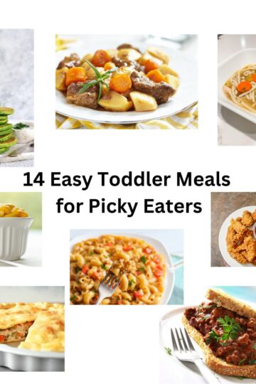 14 Easy Toddler Meals for Picky Eaters