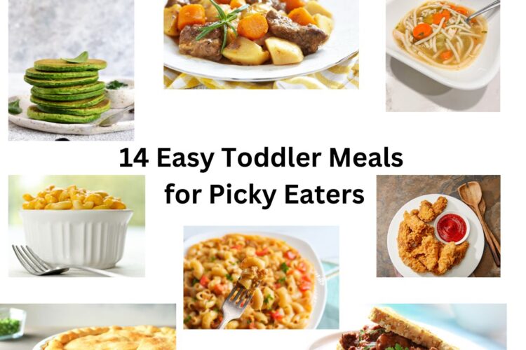 14 Easy Toddler Meals for Picky Eaters